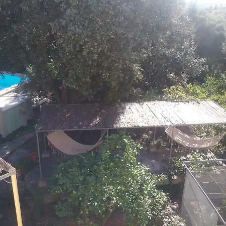 Ses Alzines Integrado En Habitada *