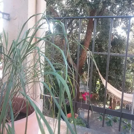 Ses Alzines Integrado En Habitada