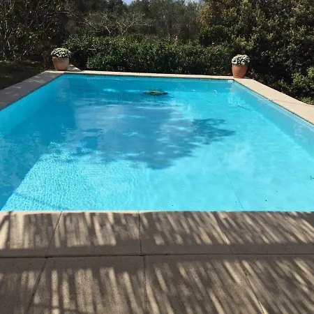 Ses Alzines Integrado En Habitada